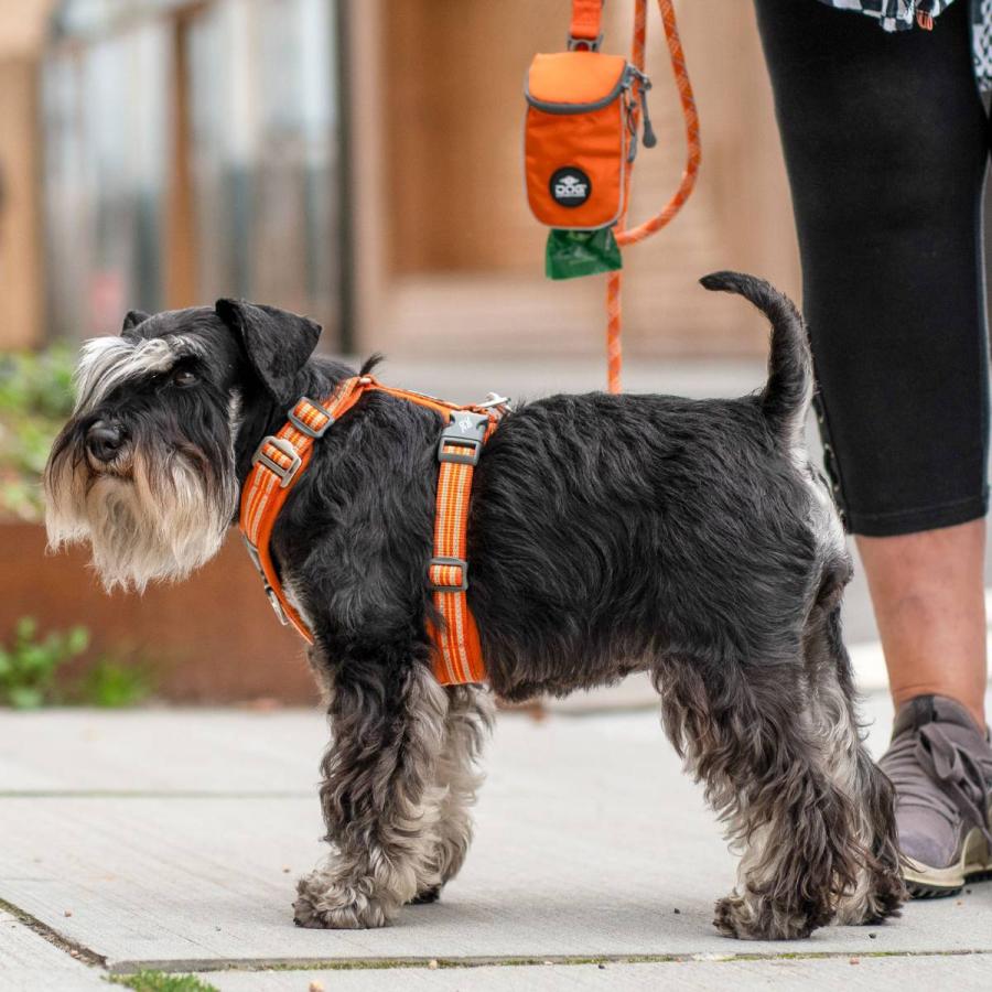 公式 犬 ハーネス 軽量 メッシュ 通気性 大型犬 ドッグコペンハーゲン コンフォートウォークエア 3.0 ハーネス L,XL 簡単装着/快適/サイズ交換対応の画像