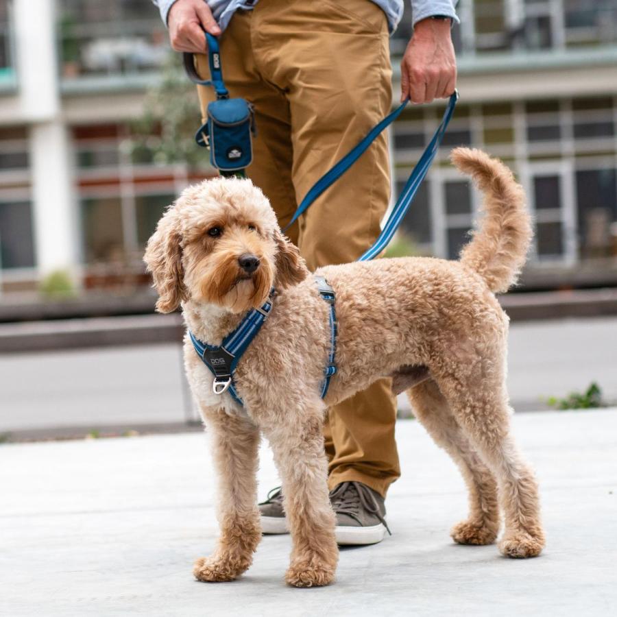 公式 犬 ハーネス 軽量 メッシュ 通気性 大型犬 ドッグコペンハーゲン コンフォートウォークエア 3.0 ハーネス L,XL 簡単装着/快適/サイズ交換対応の画像