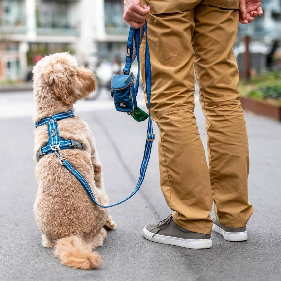 DOG Copenhagen 2024年モデル ポーチオーガナイザー リーシュ DOG Copenhagen 2024年モデル ポーチオーガナイザー リーシュ