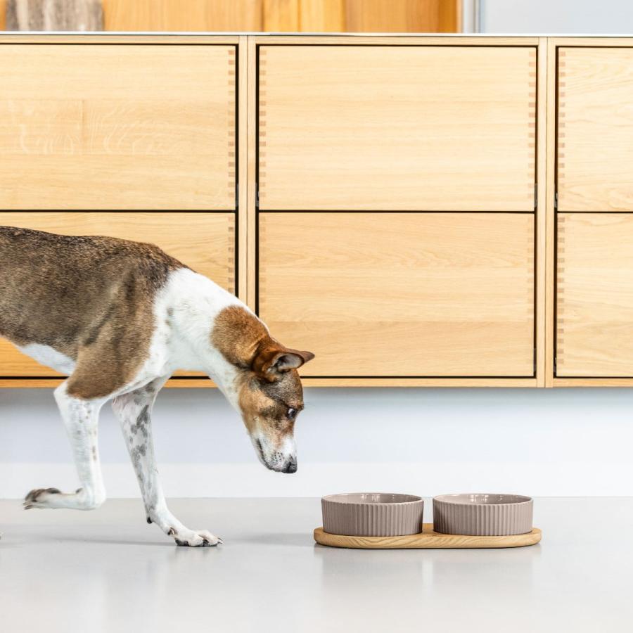 クロンボー フードバー Mサイズ カラー6色 ドッグコペンハーゲン DOG Copenhagen フードボウル ペットボウル 台 犬 中型犬 正規代理店商品 | DOG Copenhagen | 17
