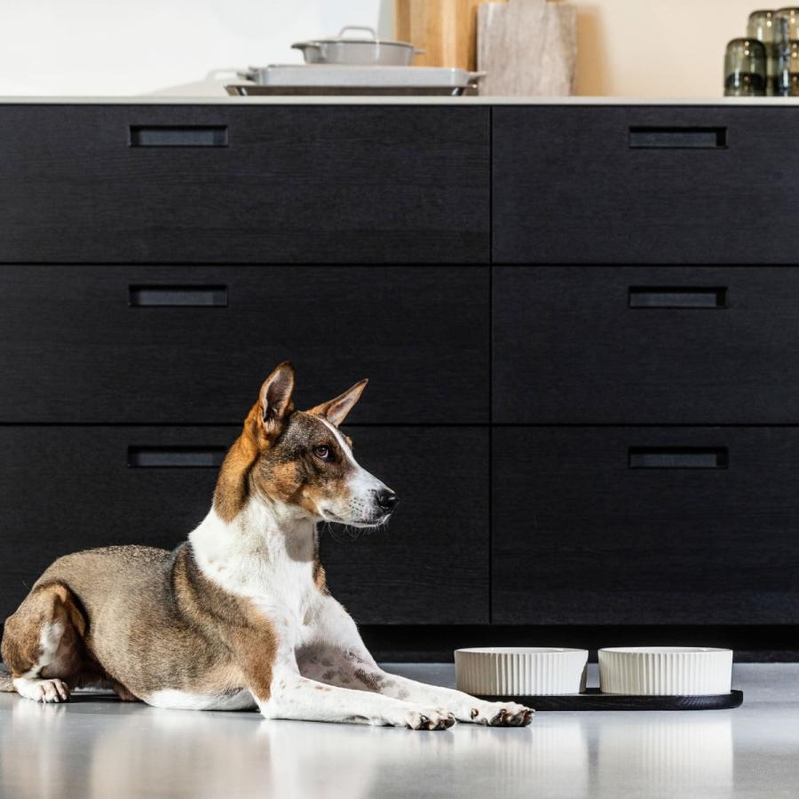 クロンボー フードバー Mサイズ カラー6色 ドッグコペンハーゲン DOG Copenhagen フードボウル ペットボウル 台 犬 中型犬 正規代理店商品 | DOG Copenhagen | 19