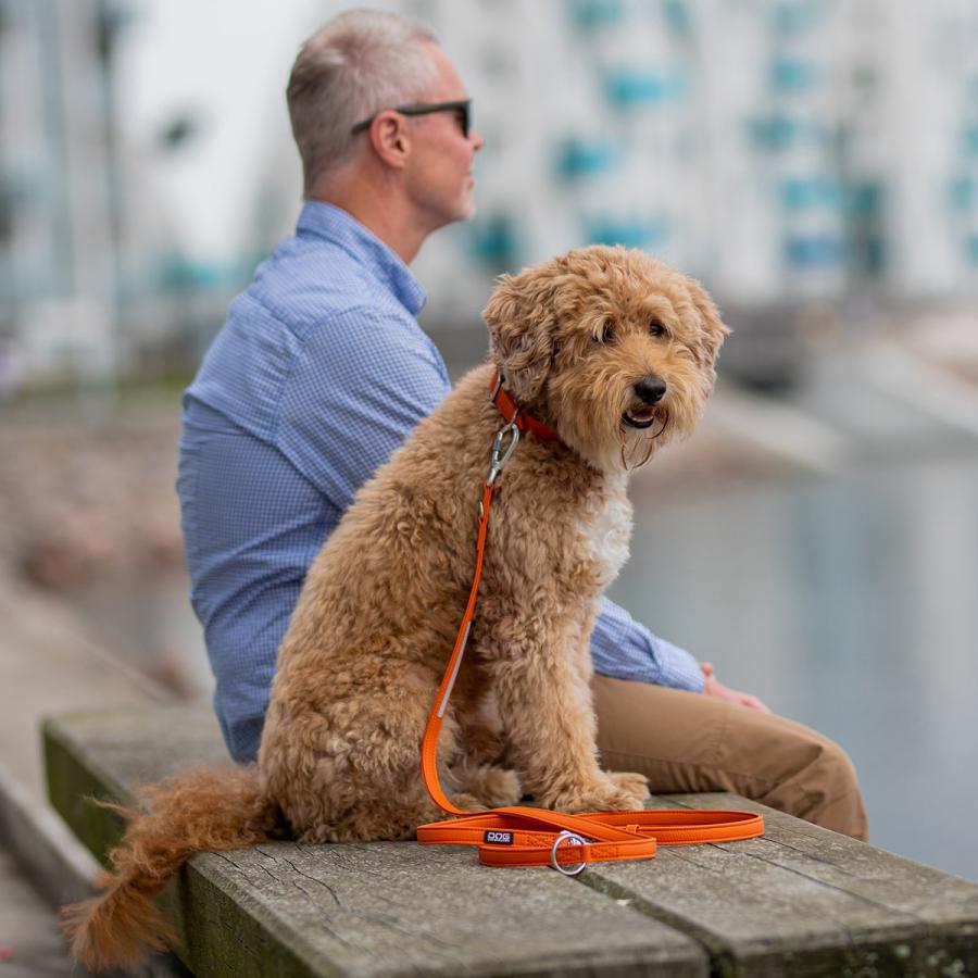 公式 ドッグコペンハーゲン DOG Copenhagen アーバンクラシックリーシュ S,Lサイズ リード ハンズフリー 肩掛け クロスボディ 小型犬 中型犬 大型犬 | DOG Copenhagen | 17