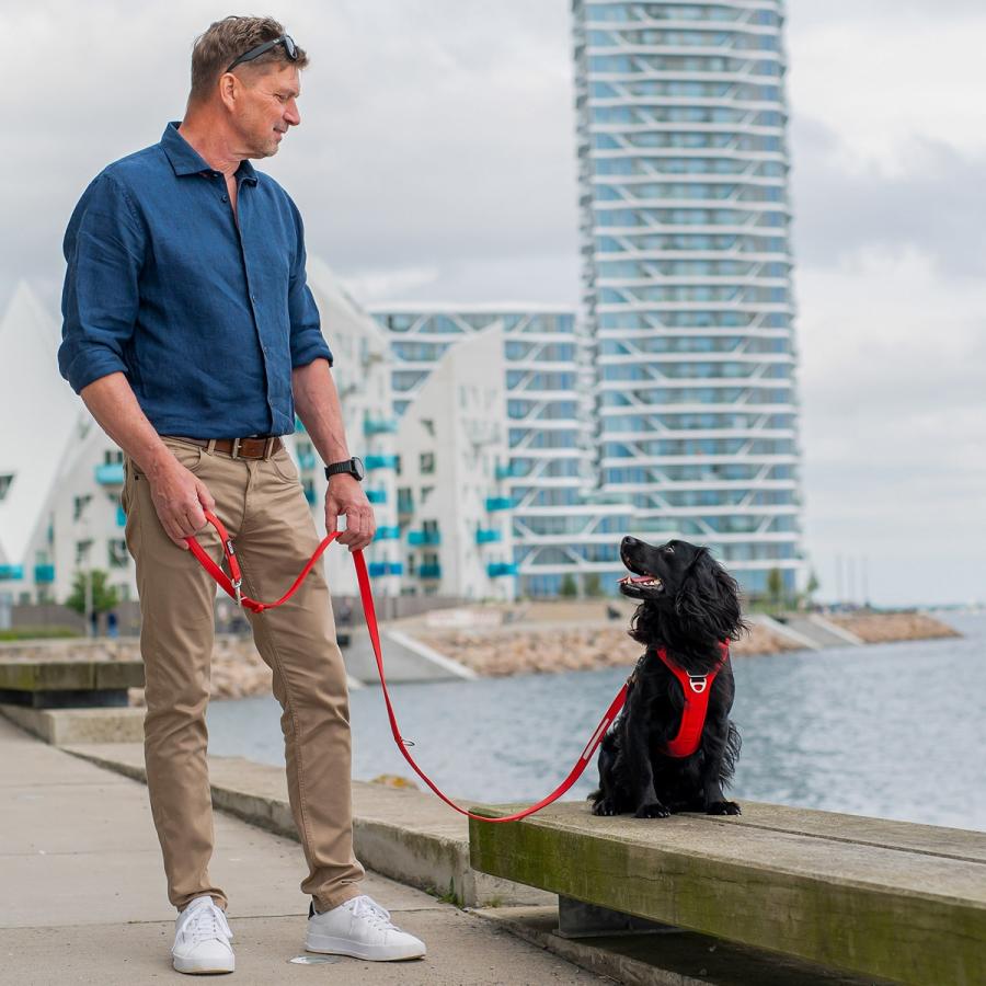 公式 ドッグコペンハーゲン DOG Copenhagen アーバンクラシックリーシュ S,Lサイズ リード ハンズフリー 肩掛け クロスボディ 小型犬 中型犬 大型犬 | DOG Copenhagen | 18