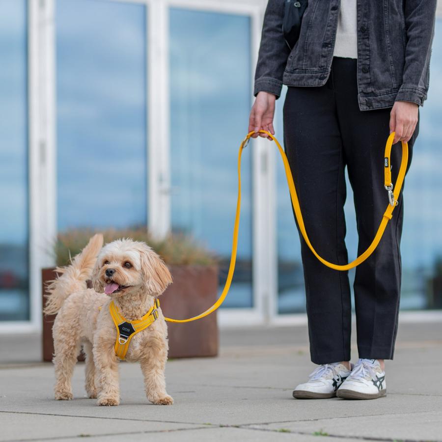公式 ドッグコペンハーゲン DOG Copenhagen アーバンクラシックリーシュ S,Lサイズ リード ハンズフリー 肩掛け クロスボディ 小型犬 中型犬 大型犬 | DOG Copenhagen | 19