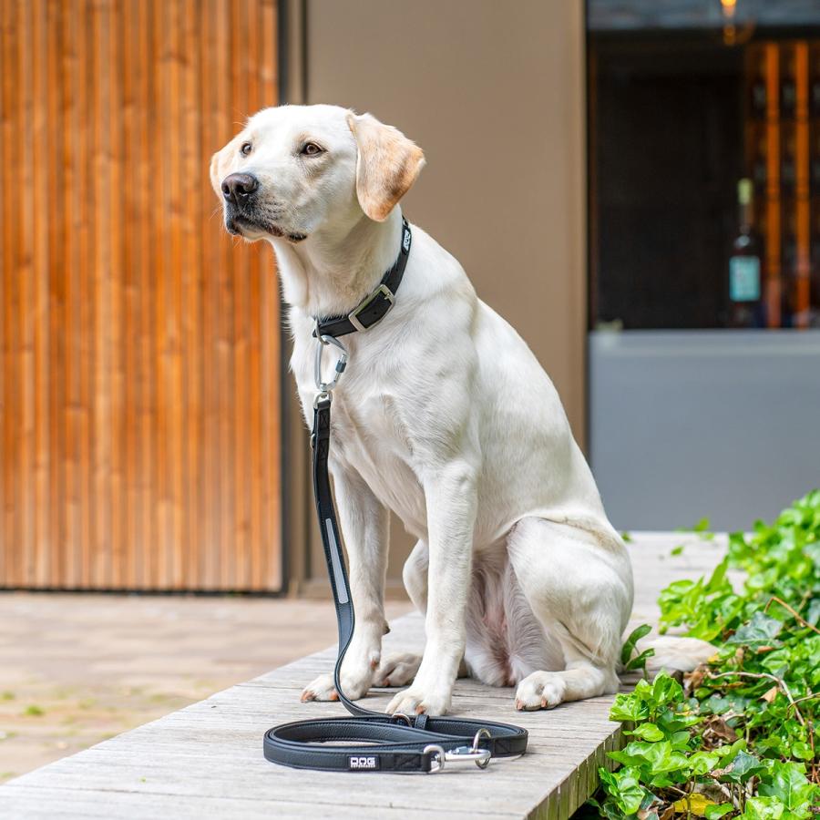 公式 ドッグコペンハーゲン DOG Copenhagen アーバンクラシックリーシュ S,Lサイズ リード ハンズフリー 肩掛け クロスボディ 小型犬 中型犬 大型犬 | DOG Copenhagen | 20