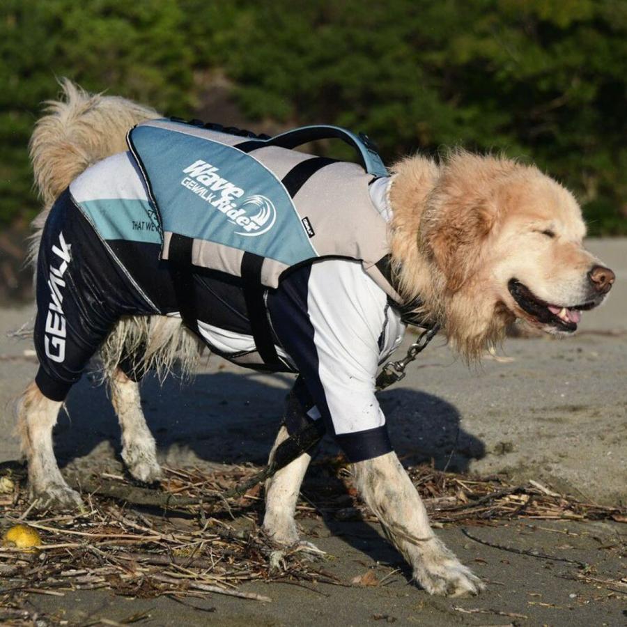 GEWALK ジウォーク 2025年モデル カラー プリント プロテクト ストレッチ ロンパース 3XLサイズ 大型犬 ラッシュガード ドッグウェア |  | 17