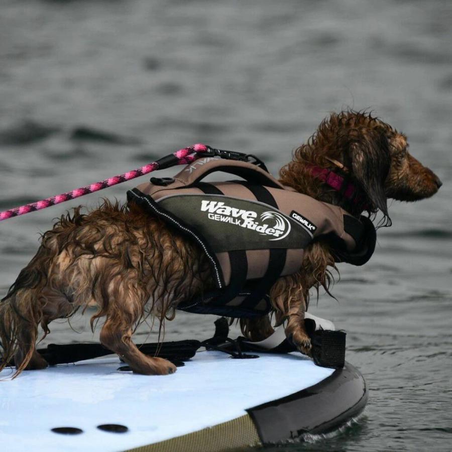 ウェーブライダー エコ ライフジャケット 犬用　 【xsサイズ】 GEWALK ジウォーク 2025年モデル ウェーブライダー エコ XS