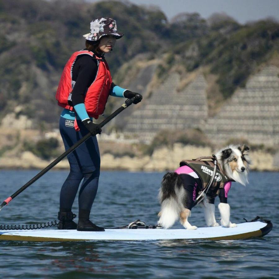 GEWALK ジウォーク 2025年モデル ウェーブライダー エコ XLサイズ 大型