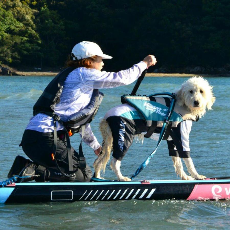 GEWALK ジウォーク 2025年モデル ウェーブライダー エコ 2XLサイズ 大型犬 ライフジャケット ライフベスト ドッグウェア ペット サイズ交換対応の画像