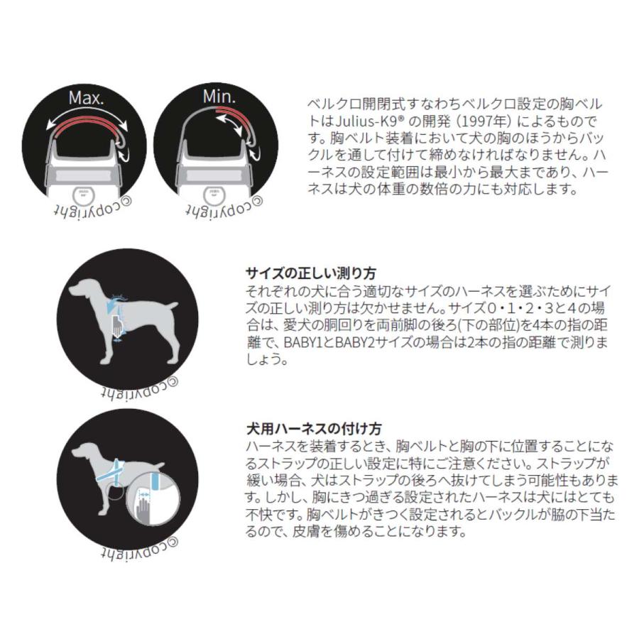 Julius-K9 ユリウスケーナイン IDCパワーハーネス IDC Power harnesses Mini Mini / Mini カラー9色 ハーネス 小型犬 中型犬 ペット サイズ交換対応｜starry｜13