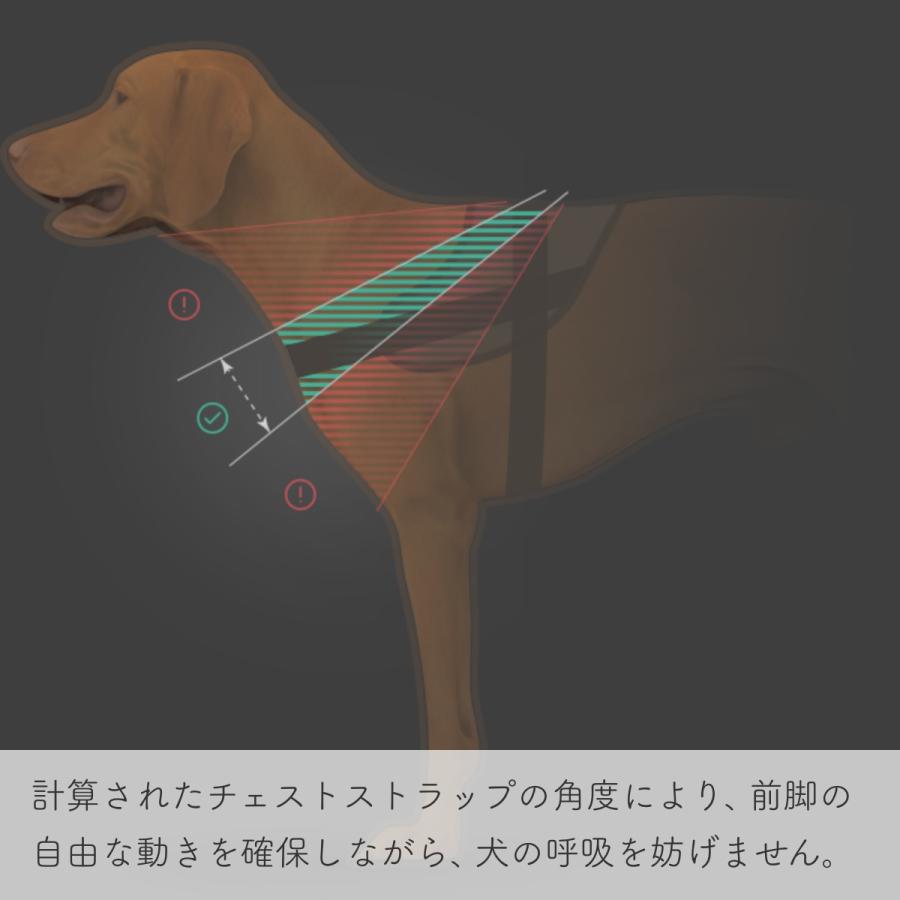 いぬ いぬ ZXK 1:6 スケール日本の秋田犬ペットフィギュア癒し動物