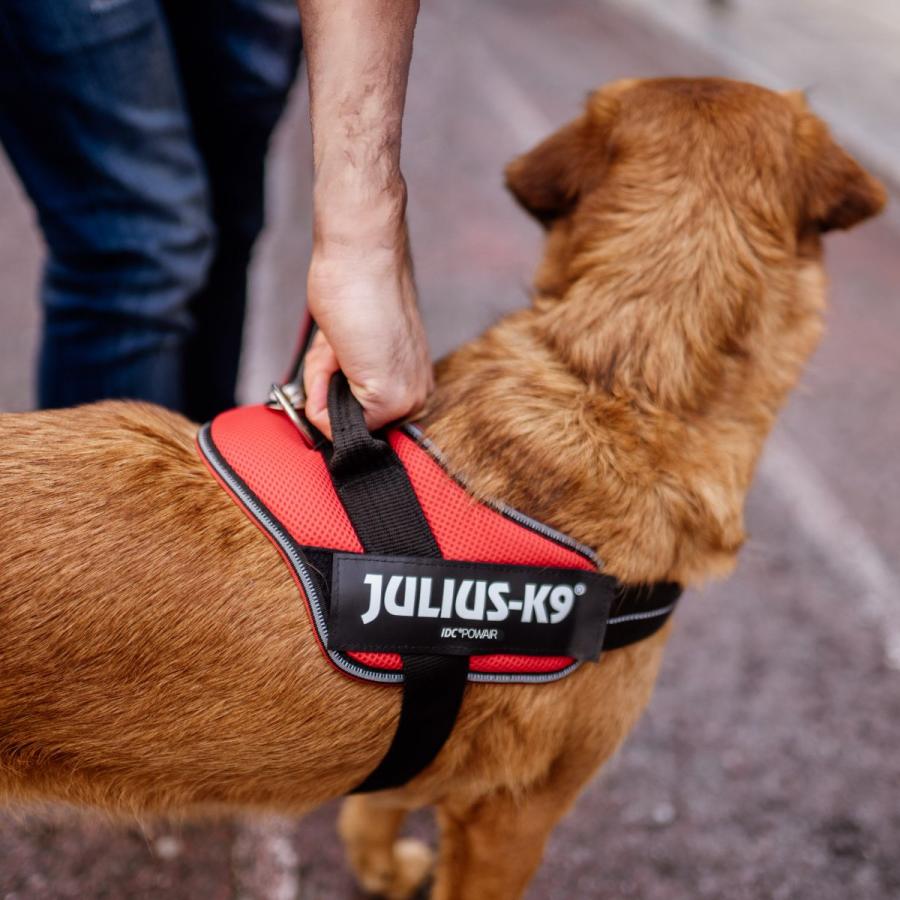 Julius-K9 ユリウスケーナイン IDCパワーサマーハーネス IDC Power Summer harnesses Size0/M,Size1/L,Size2/XL 中型犬 大型犬 サイズ交換対応｜starry｜16