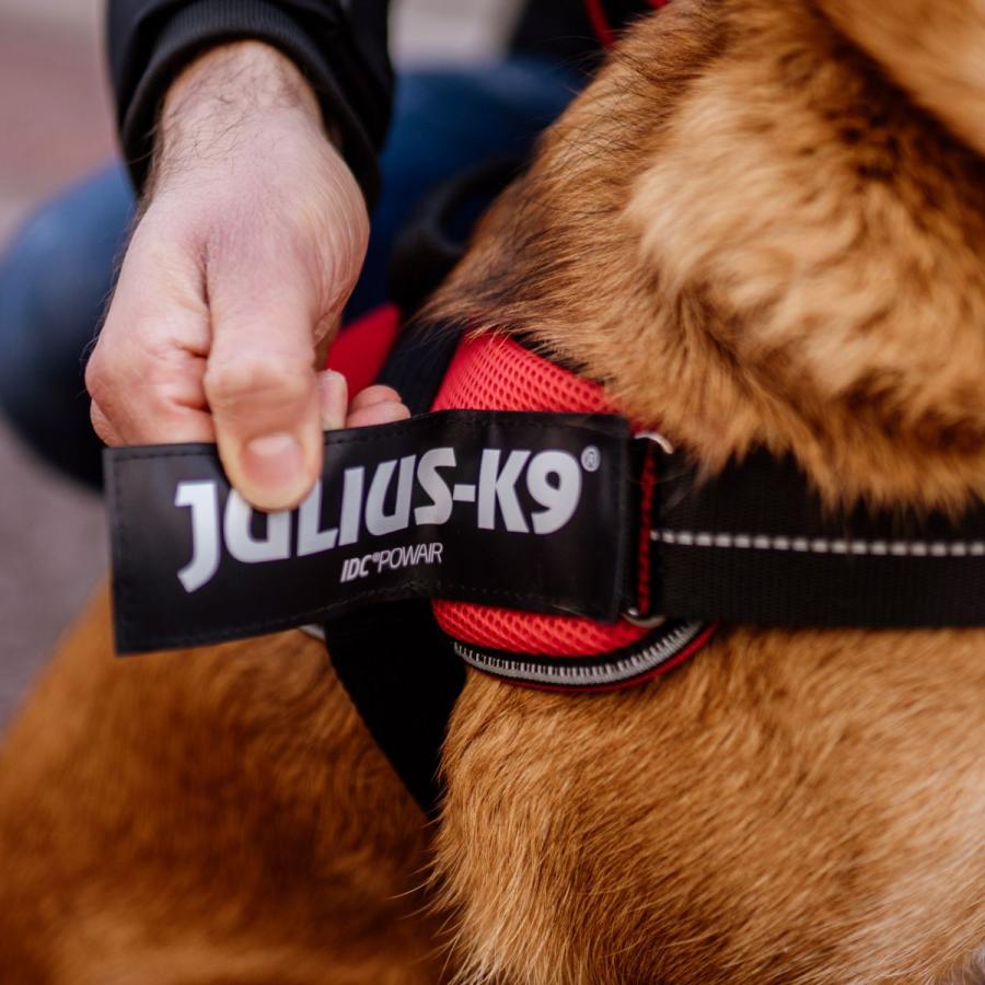 JULIUS-K9（ユリウスケーナイン） IDCパワーサマーハーネス IDC Power
