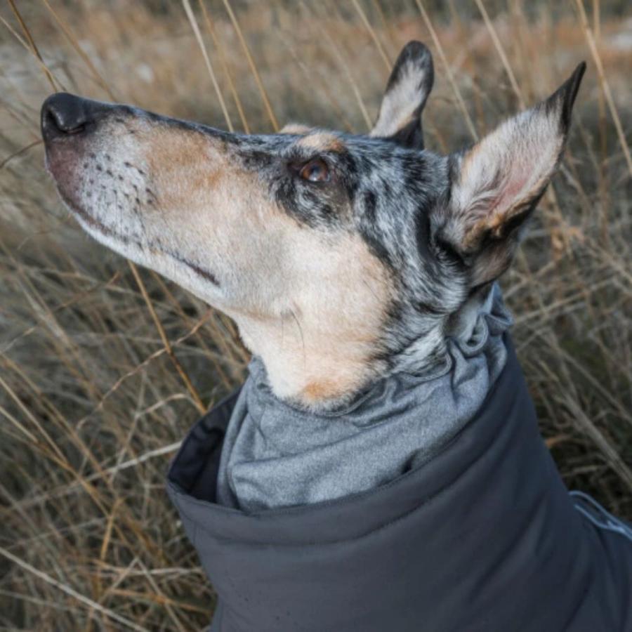 Hurtta フルッタ エクストリームオーバーオール 25S/30S/30M グレイ