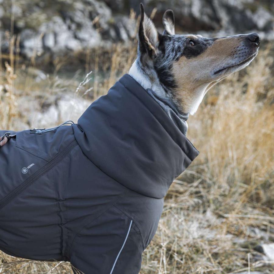 Hurtta（フルッタ）エクストリームオーバーオール 小型犬用 30S グレイ 楽天市場】フィンランドのドッグブランド【Hurtta】【フルッタ