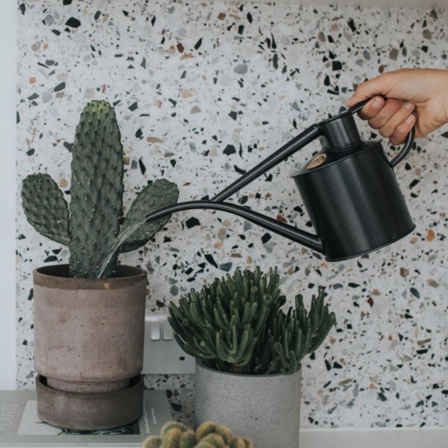 HAWS ホーズ Pot Waterer 1L 4色 グリーン サルビアグリーン