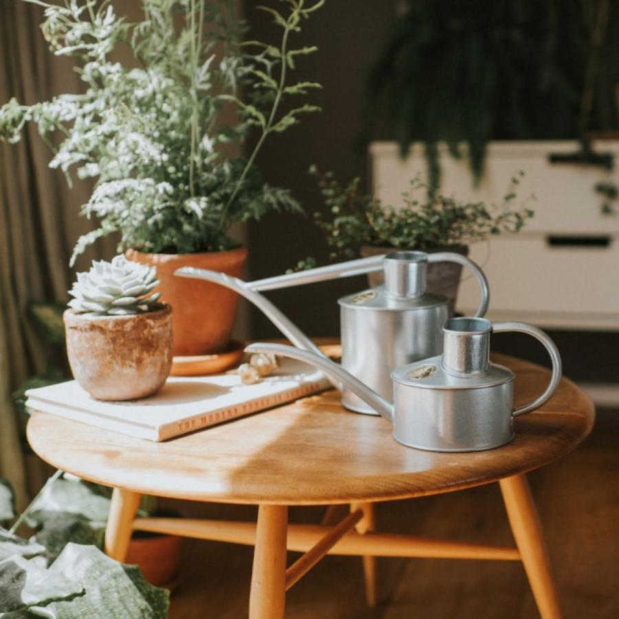 HAWS ホーズ Pot Waterer 1L 4色 グリーン サルビアグリーン