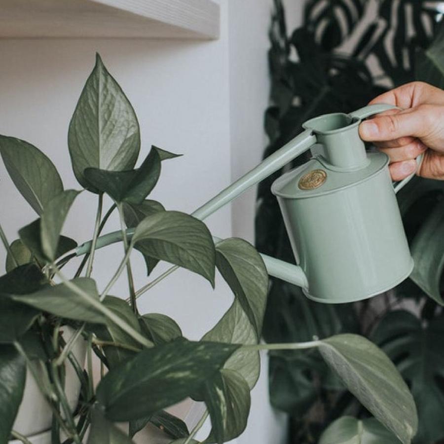 HAWS ホーズ Pot Waterer 1L 4色 グリーン サルビアグリーン