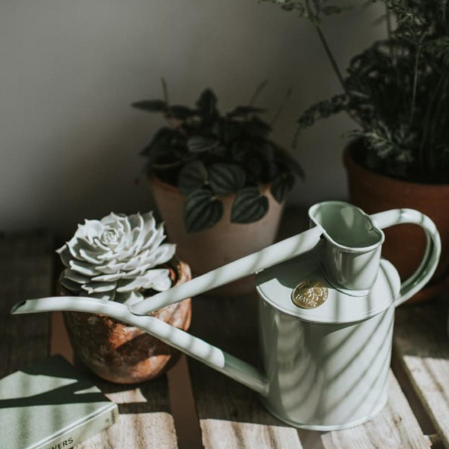 HAWS ホーズ Pot Waterer 1L 4色 グリーン サルビアグリーン