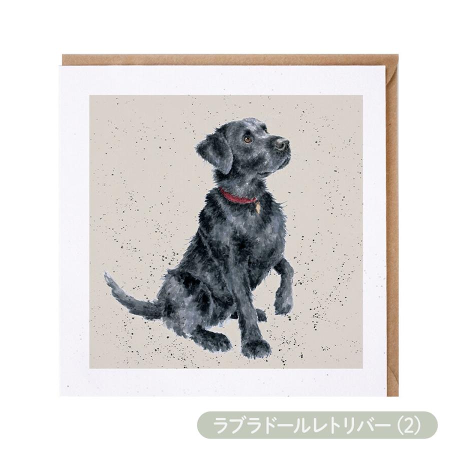 イギリス製 ラブラドールレトリバー絵皿 6枚 Wrendale Designs