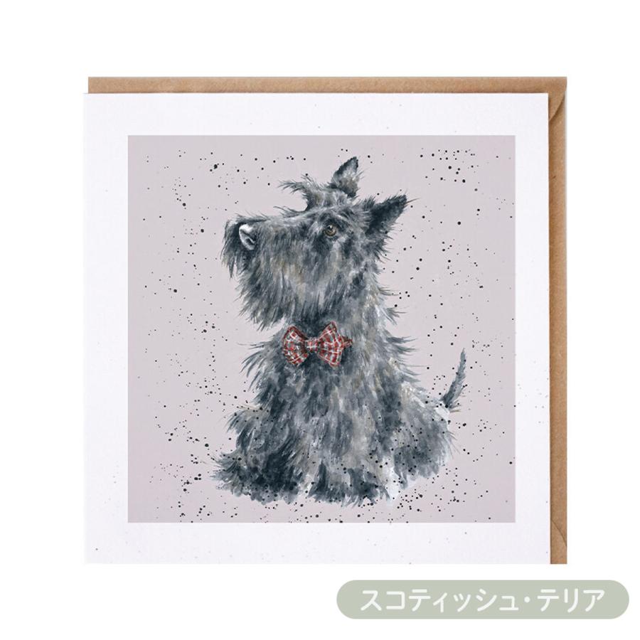 Wrendale Designs レンデール デザイン グリーティングカード 英国製 犬 スコティッシュ・テリア ダルメシア グレート・デーン グレイハウンド ポストカード |  | 01