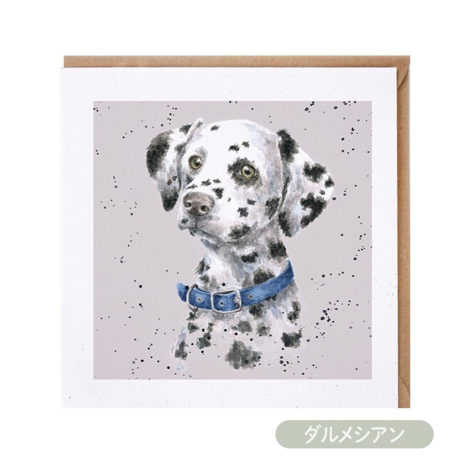 Wrendale Designs レンデール デザイン グリーティングカード 英国製 犬 スコティッシュ・テリア ダルメシア グレート・デーン グレイハウンド ポストカード |  | 02
