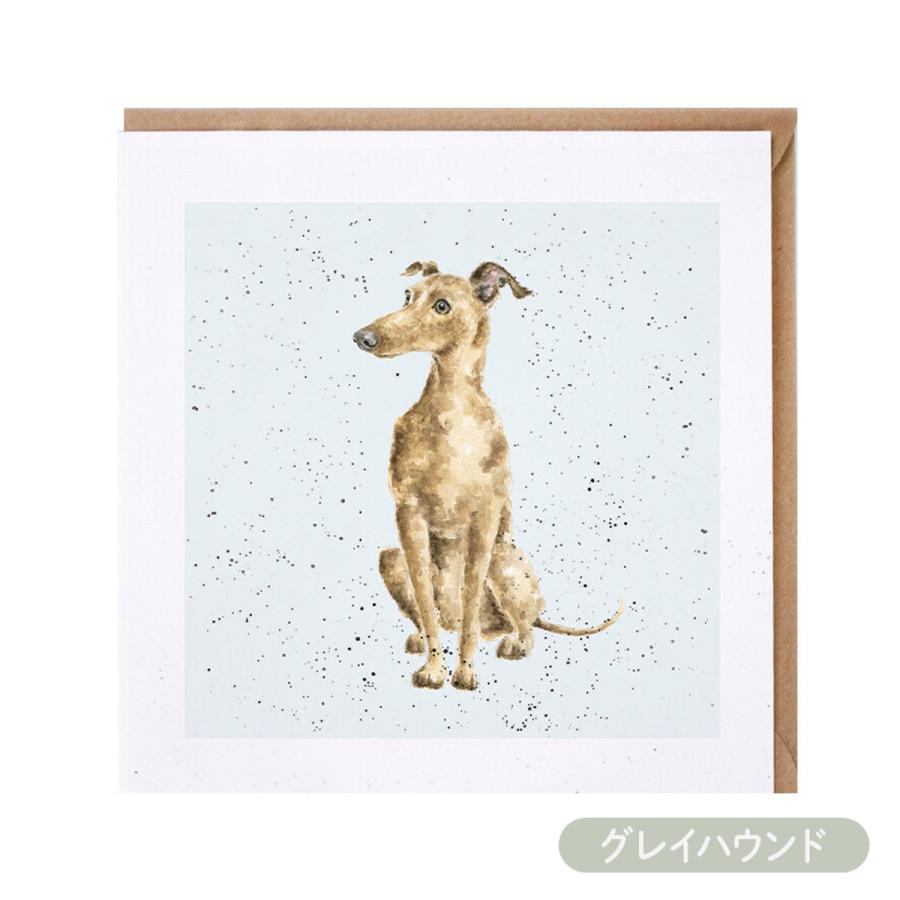 Wrendale Designs レンデール デザイン グリーティングカード 英国製 犬 スコティッシュ・テリア ダルメシア グレート・デーン グレイハウンド ポストカード |  | 04