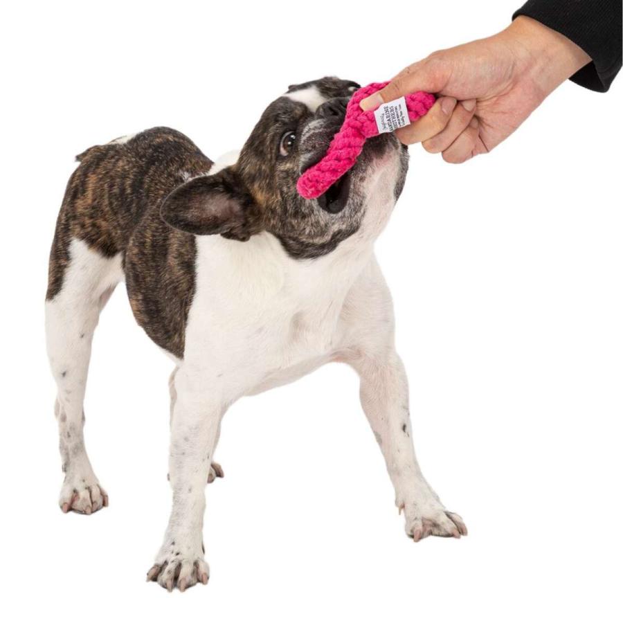 MANDARINE BROTHERS マンダリンブラザーズ ナンバーロープトイ 10色 Number Rope Toy 記念撮影 バースデー ドッグトイ 犬 |  | 02