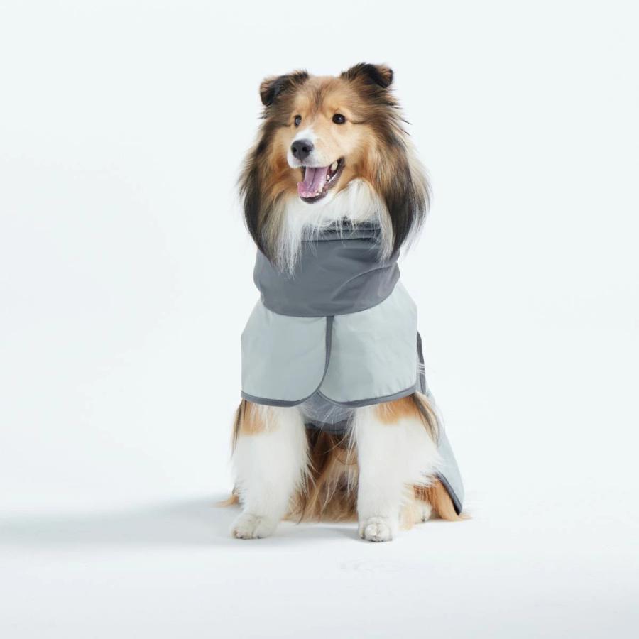 TAILHIGH テールハイ レインコート Go2 Raincoat Mサイズ 全3色 ドッグ