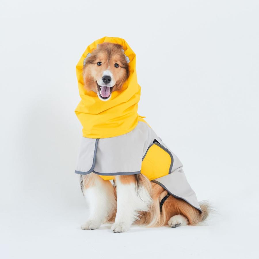 TAILHIGH テールハイ レインコート Go2 Raincoat Mサイズ 全3色 ドッグ