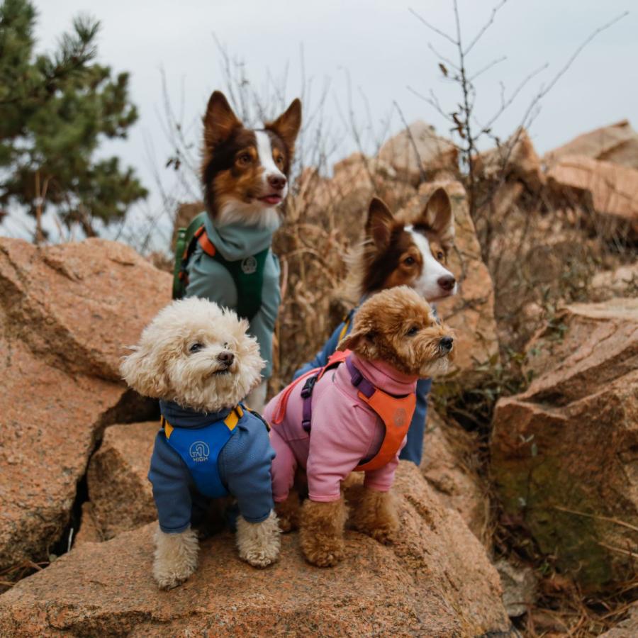 TAILHIGH テールハイ 防虫アクティブスーツ Anti-Bug Active Suit XXS