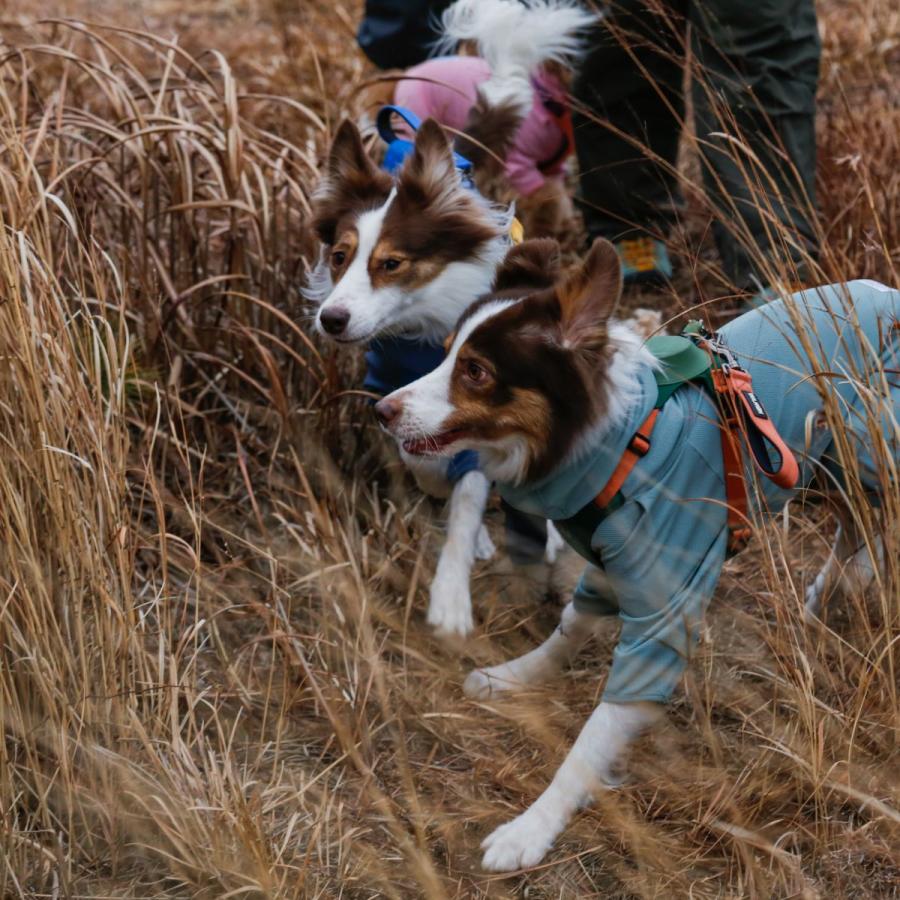 TAILHIGH テールハイ 防虫アクティブスーツ Anti-Bug Active Suit XXS