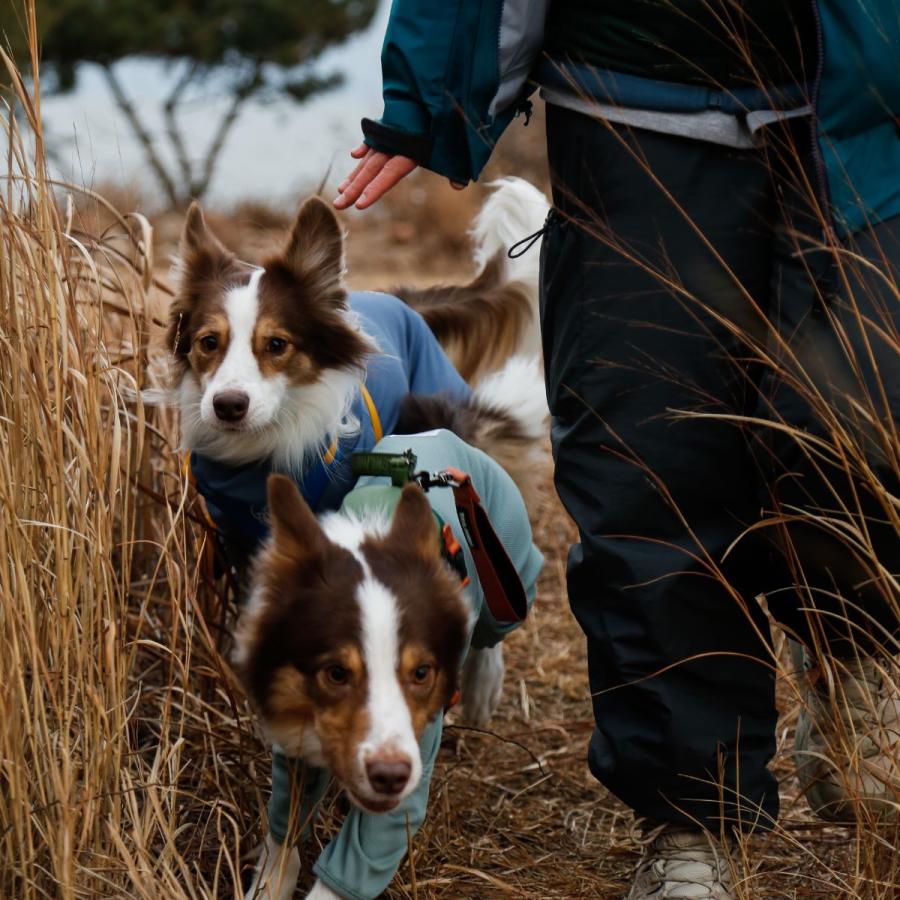 TAILHIGH テールハイ 防虫アクティブスーツ Anti-Bug Active Suit S,SM