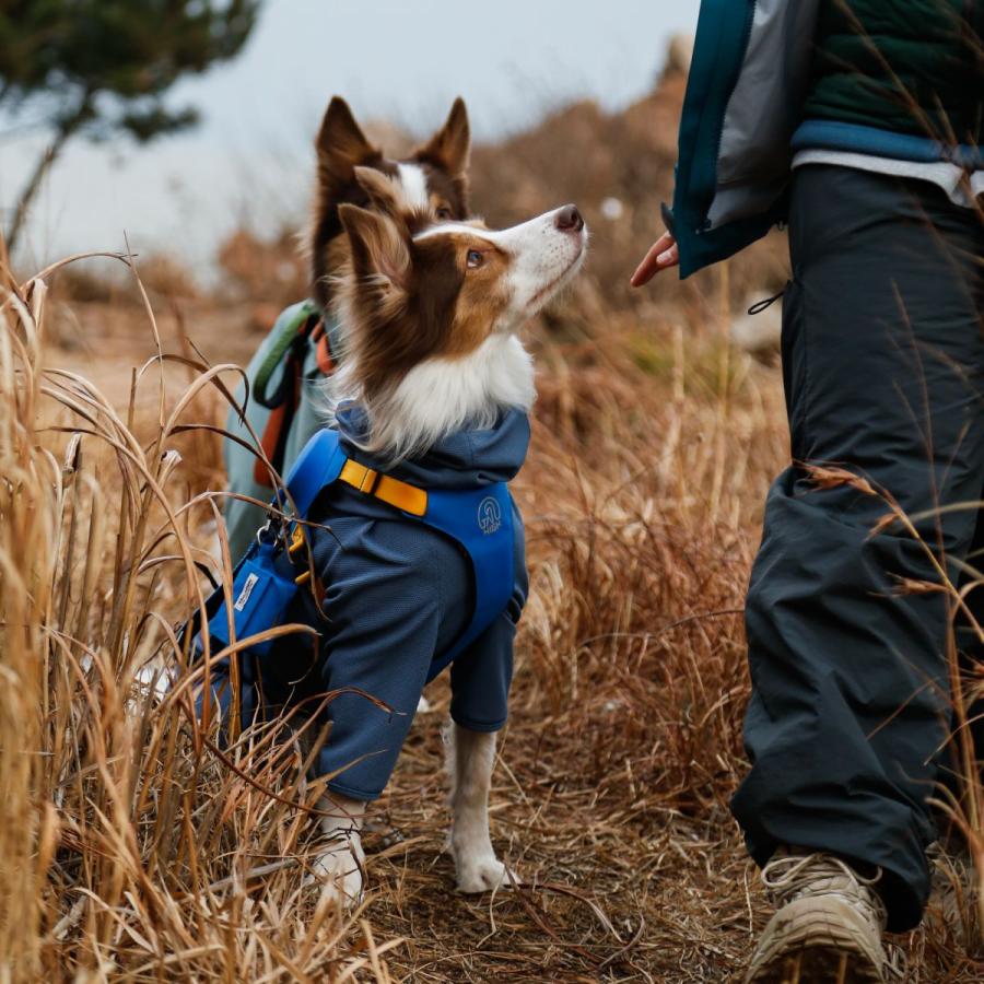 TAILHIGH テールハイ 防虫アクティブスーツ Anti-Bug Active Suit Mサイズ 全3色 ドッグウェア 犬用 防虫ウェア 収納ポーチ付き 中型犬 ペットの画像