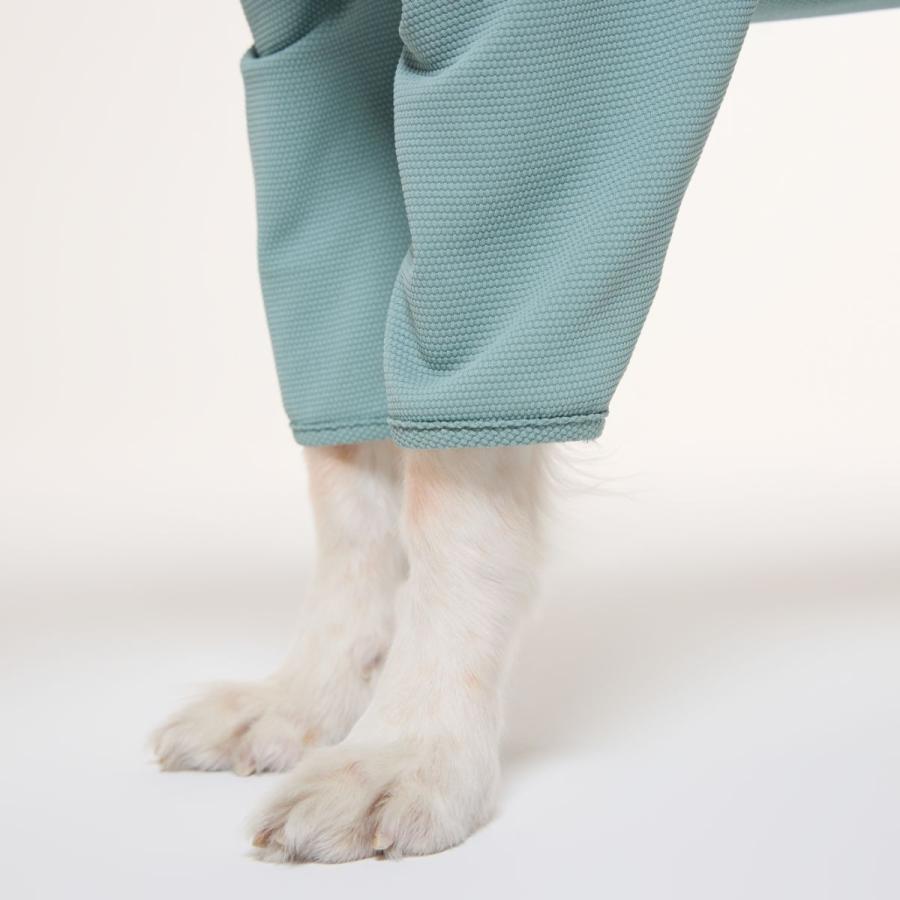 TAILHIGH テールハイ 防虫アクティブスーツ Anti-Bug Active Suit Mサイズ 全3色 ドッグウェア 犬用 防虫ウェア 収納ポーチ付き 中型犬 ペットの画像