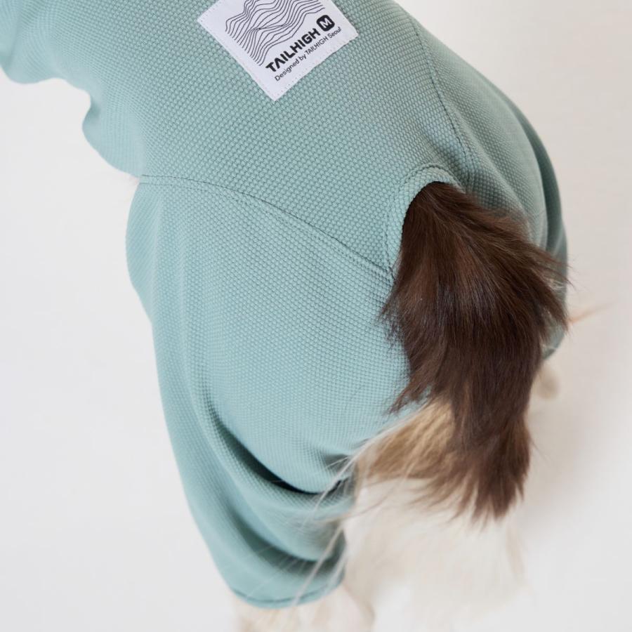 TAILHIGH テールハイ 防虫アクティブスーツ Anti-Bug Active Suit Mサイズ 全3色 ドッグウェア 犬用 防虫ウェア 収納ポーチ付き 中型犬 ペットの画像