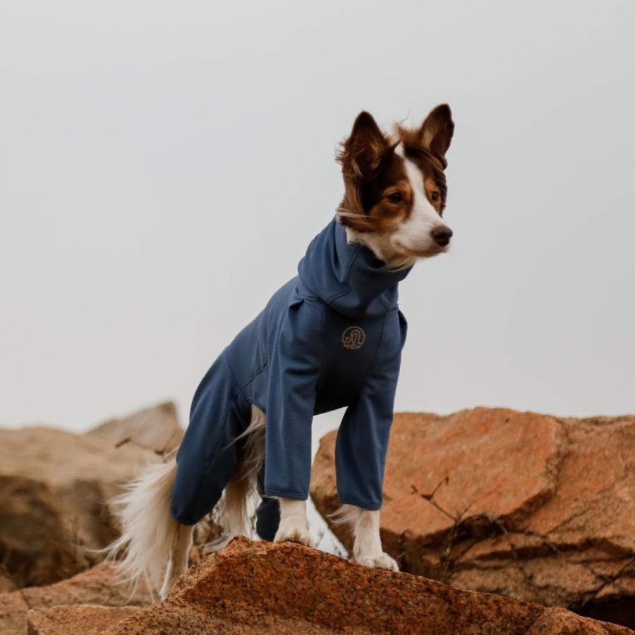 TAILHIGH テールハイ 防虫アクティブスーツ Anti-Bug Active Suit L