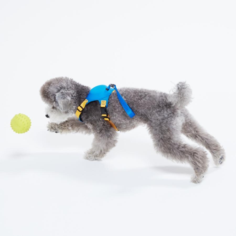 TAILHIGH テールハイ 伸縮リード一体型ハーネス Hybrid Harness