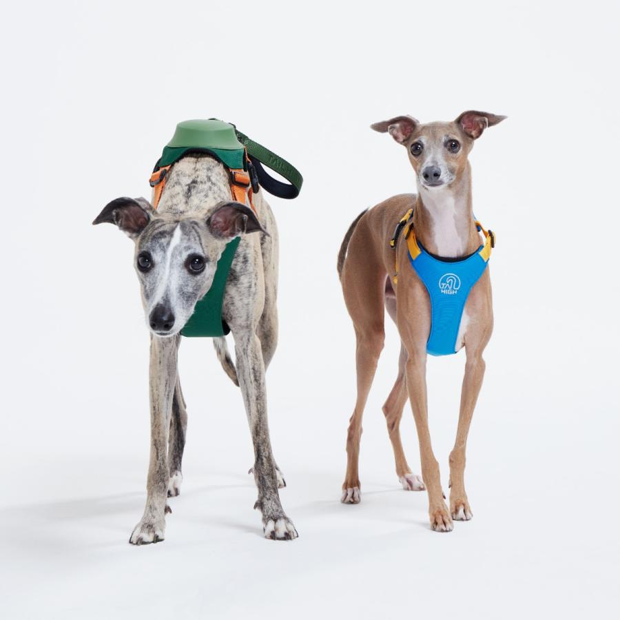 TAILHIGH テールハイ 伸縮リード一体型ハーネス Hybrid Harness SM,MH