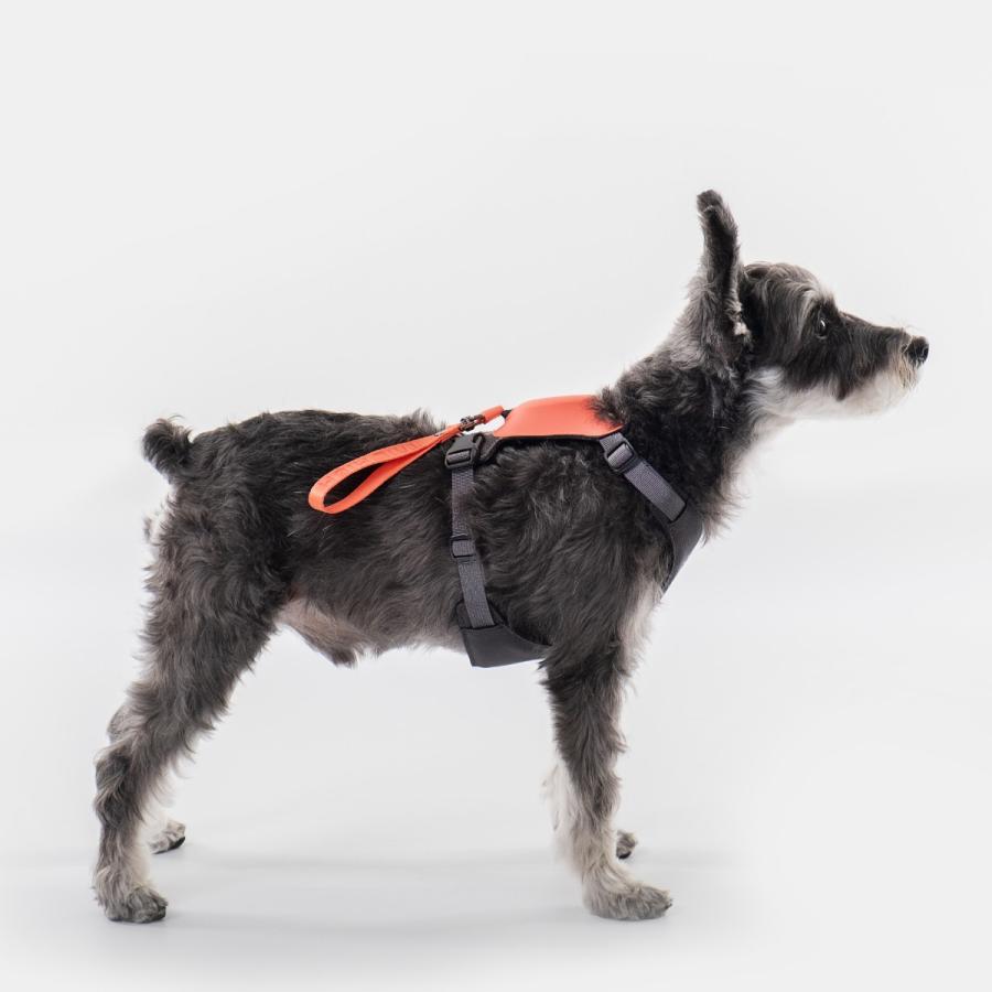 首輪・ハーネス・リード Toshi Amazon | プレミアムプレミアムツーリングハーネス | TRIXIE