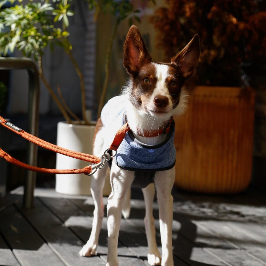 TAILHIGH テールハイ フリースヒータートップ Go2 Fleece Heater Top