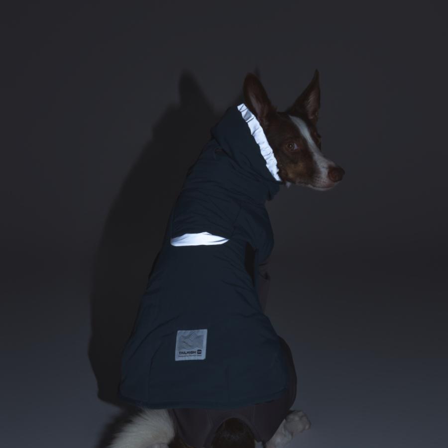 TAILHIGH テールハイ ウィンタージャケット 2.0 エクストリーム Down