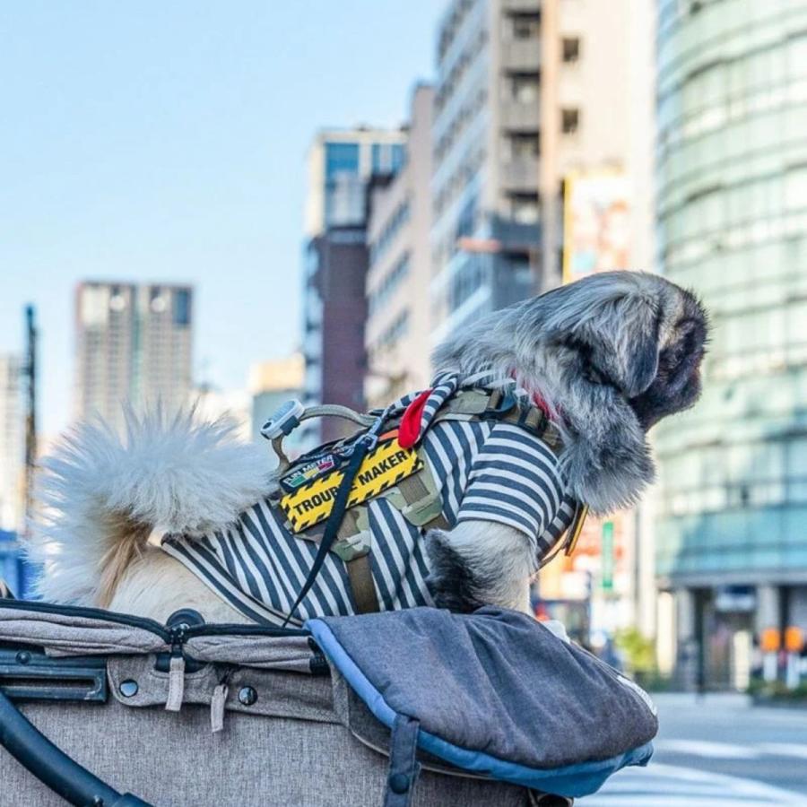 KILONAINER キロナイナー M5 ハーネス Light Vest XXXSL〜 XXSLサイズ