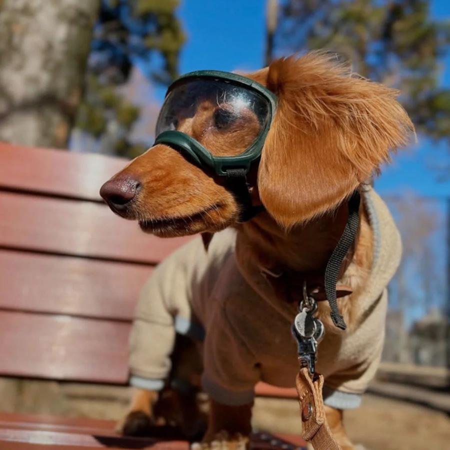 KILONAINER キロナイナー シグネチャーゴーグル Signature Goggles 2色