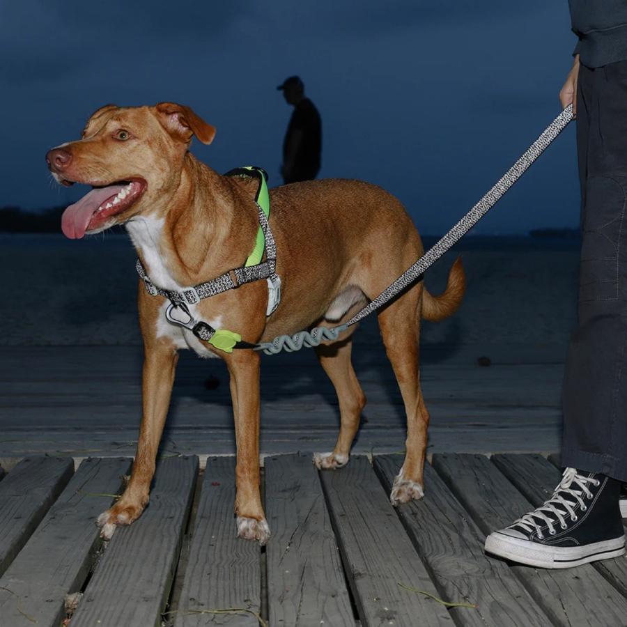 zee.dog ジードッグ RUFF LEASH NOX ノックス ラフリード Sサイズ Lサイズ ドッグリーシュ ショック吸収 衝撃吸収 リードの画像