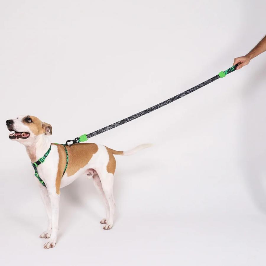 zee.dog ジードッグ LEASH グリッチ エラー#410 リード XS S Lサイズ ドッグリーシュ 散歩 |  | 03