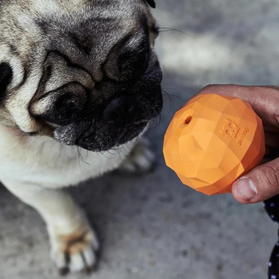 zee.dog ジードッグ SUPER FRUITZ スーパーフルーツ 知育玩具 ペット用おもちゃ ドッグトイ |  | 13