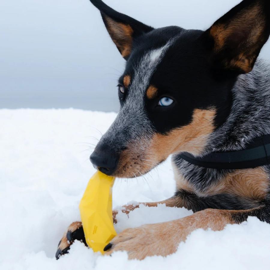 zee.dog ジードッグ SUPER FRUITZ スーパーフルーツ 知育玩具 ペット用おもちゃ ドッグトイ |  | 14