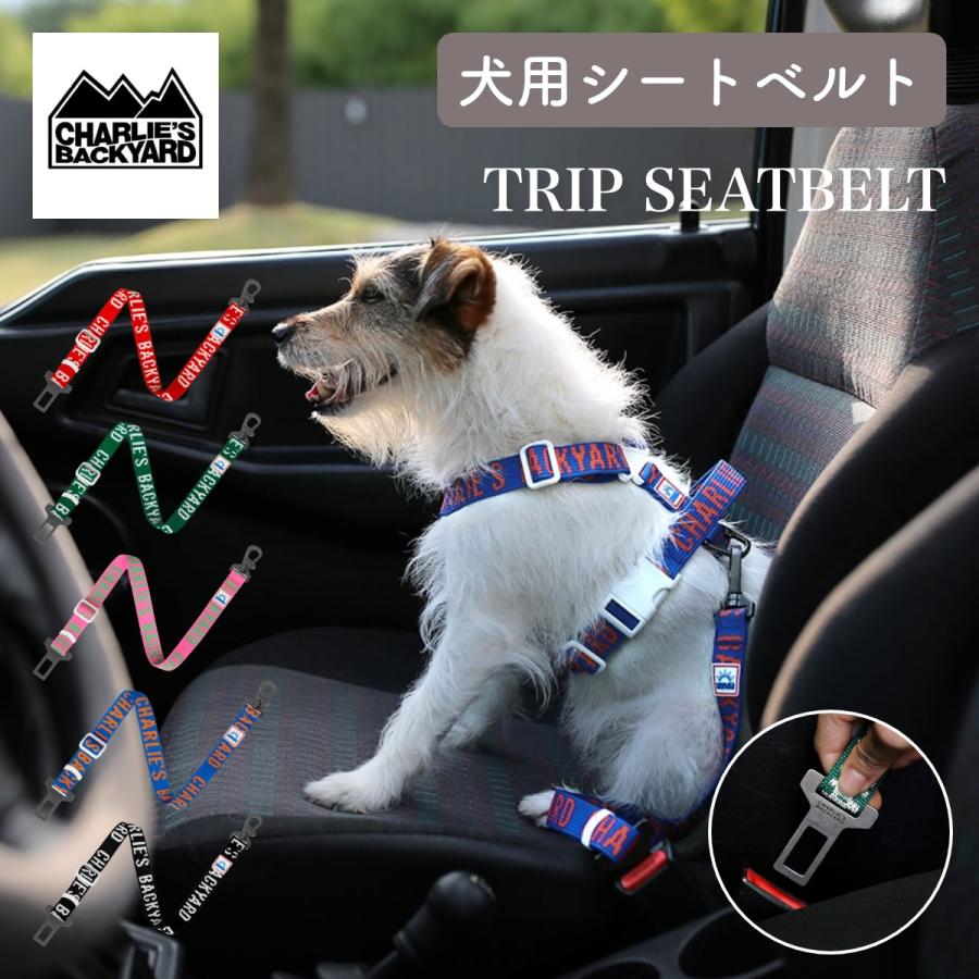 CHARLIE'S BACKYARD チャーリーズバックヤード TRIP SEATBELT シート