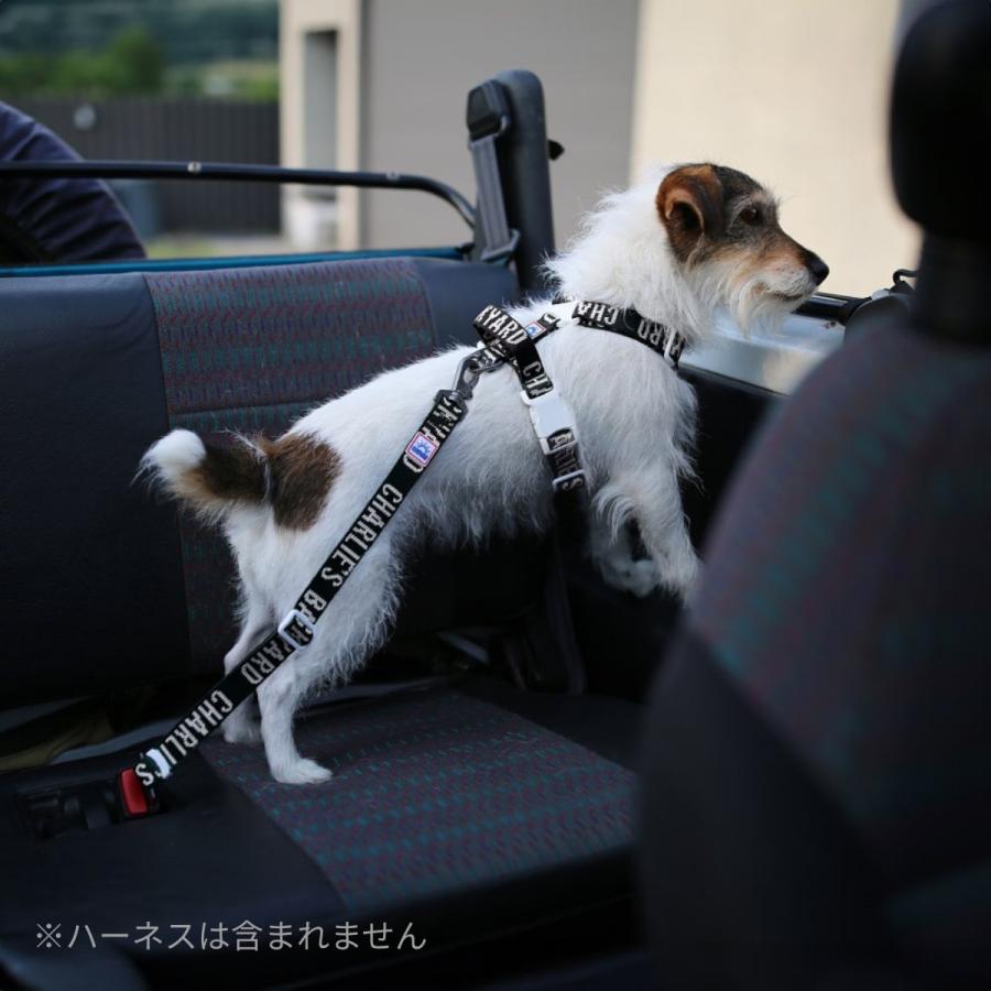 CHARLIE'S BACKYARD チャーリーズバックヤード TRIP SEATBELT シート
